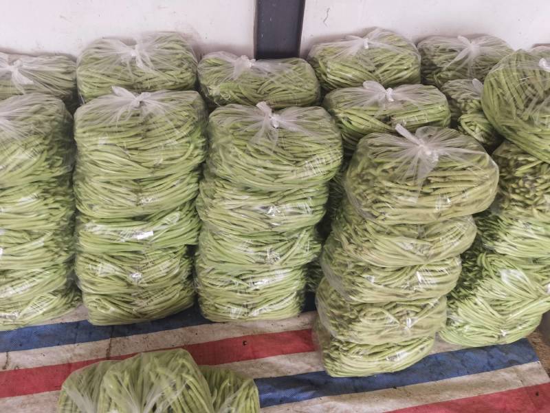 长阳高山红花白荚，全国发货，欢迎沟通，产地直发