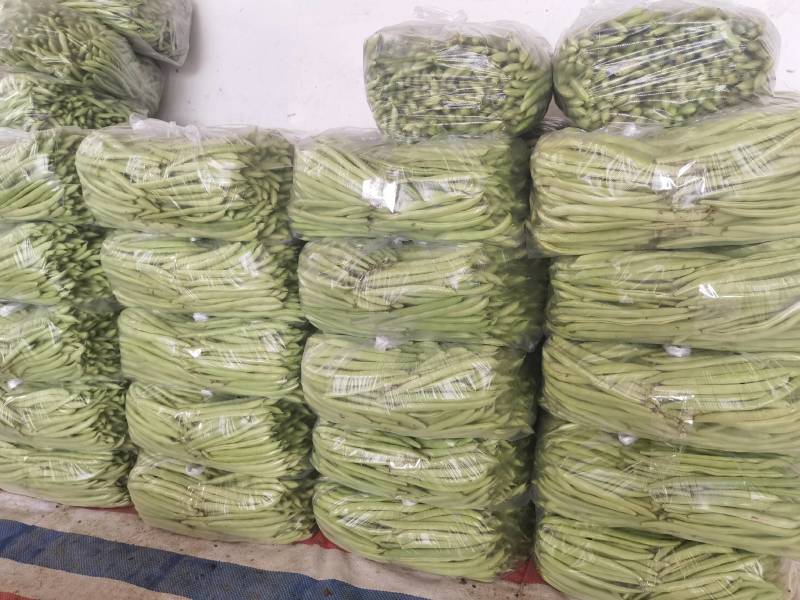 长阳高山红花白荚，全国发货，欢迎沟通，产地直发