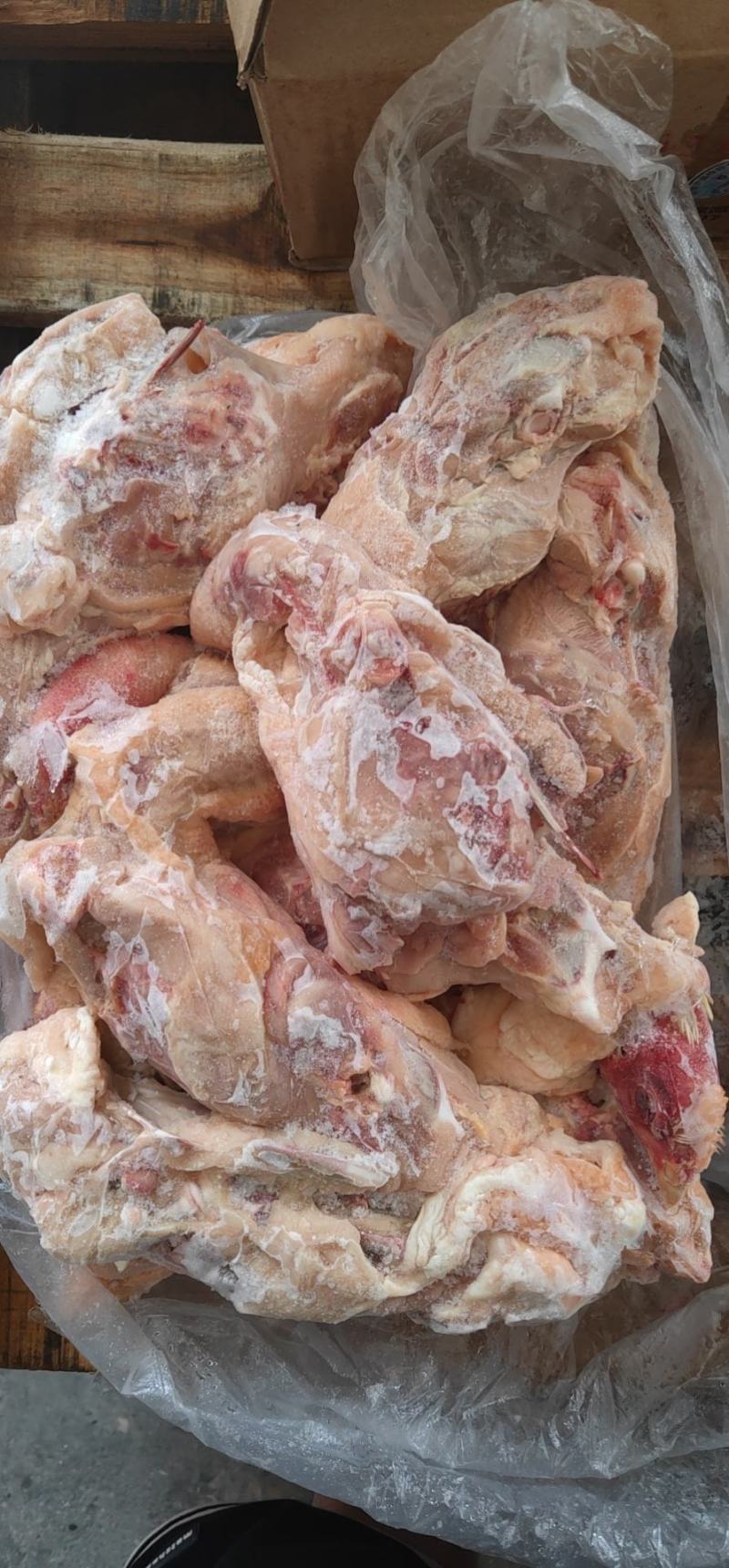 出售带头带脖带腹膜肉带尾鸡全架