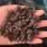 【精品】河北黑珍珠桑葚干药材货，量大从优，物美价廉