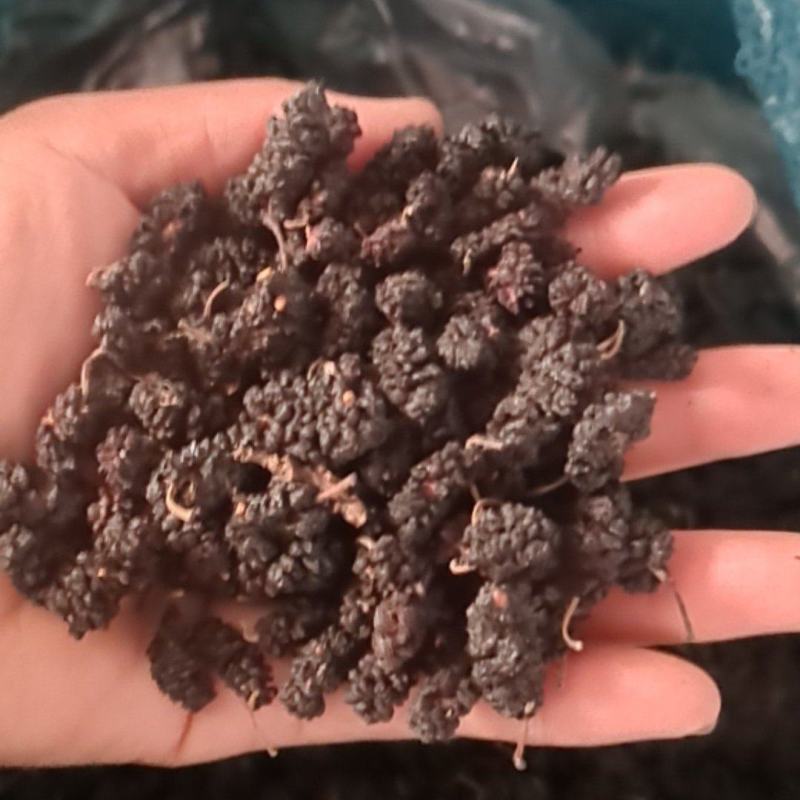 【精品】河北黑珍珠桑葚干药材货，量大从优，物美价廉