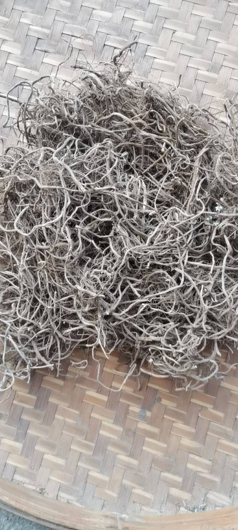 艾根，五月艾的根，野生品种，产地直供，量大从优