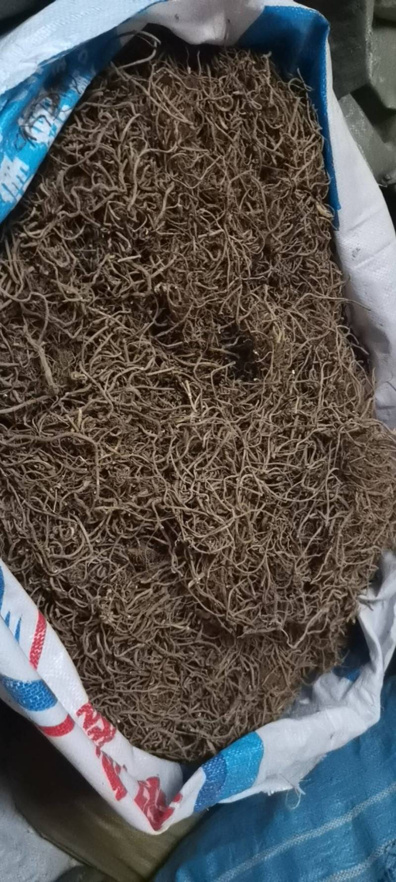 艾根，五月艾的根，野生品种，产地直供，量大从优
