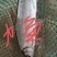 各类溪鱼，品种齐全，量大价格面谈，欢迎电话咨询