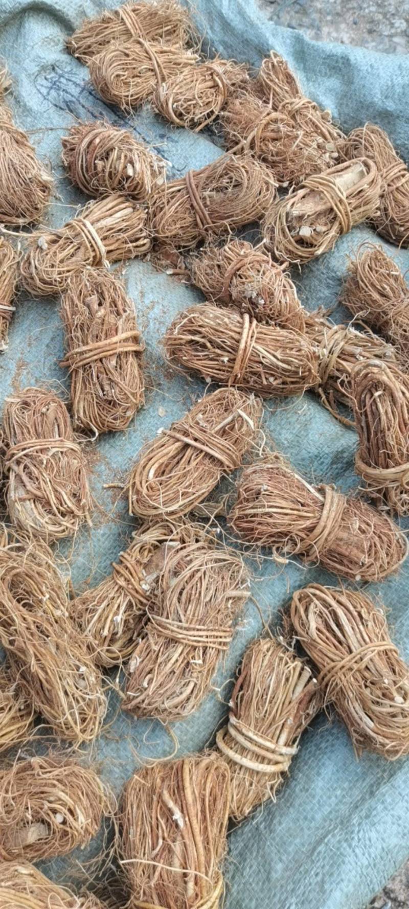 正品五指毛桃根，野生品种，无硫，产地直供，量大从优