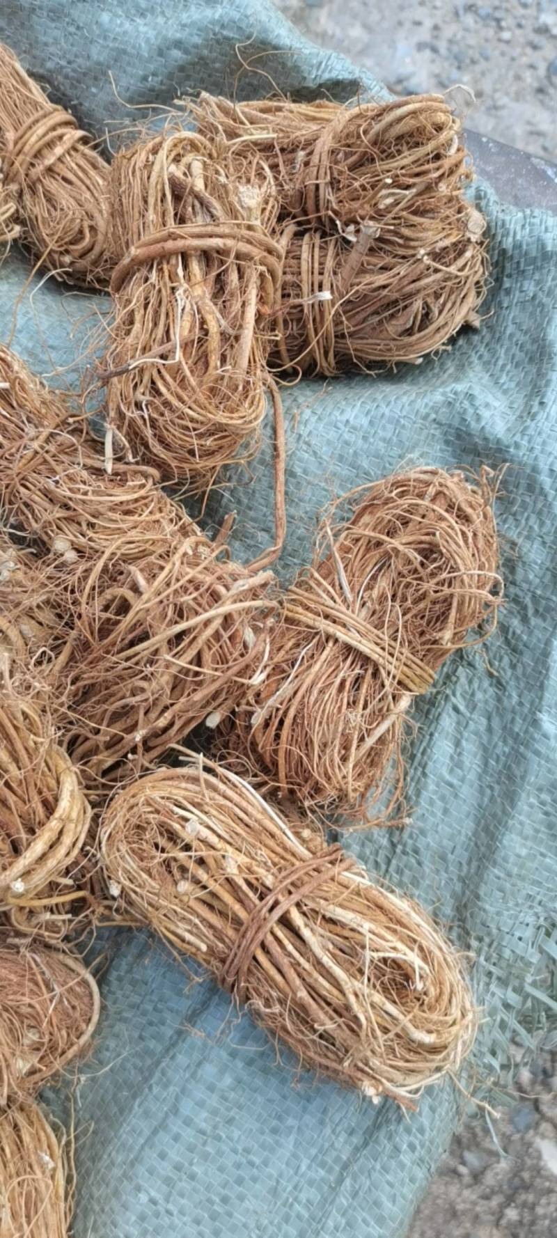 正品五指毛桃根，野生品种，无硫，产地直供，量大从优