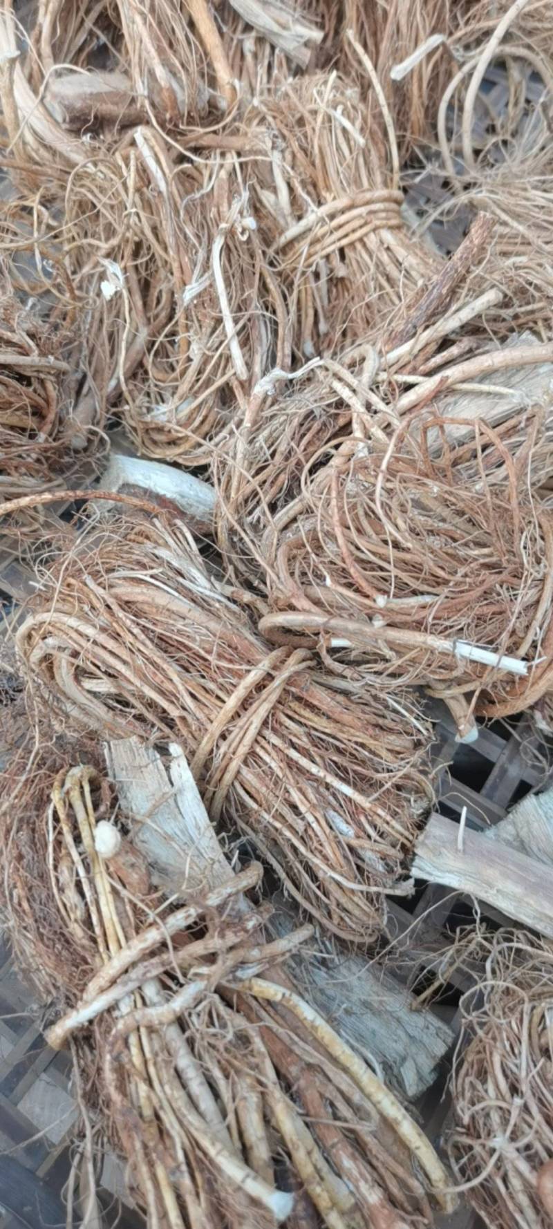 正品五指毛桃根，野生品种，无硫，产地直供，量大从优