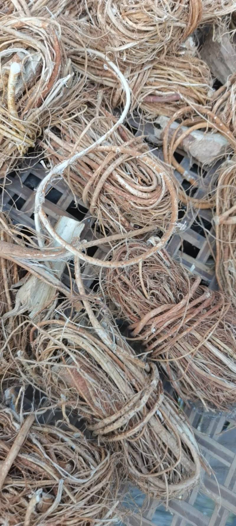 正品五指毛桃根，野生品种，无硫，产地直供，量大从优