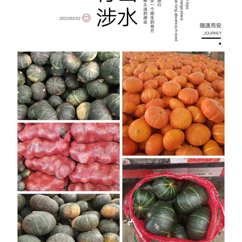 长年供应各种南瓜，全国各地有货。欢迎各地的老板洽谈合作