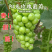 阳光玫瑰葡萄大量上市欢迎来电咨询量大从优
