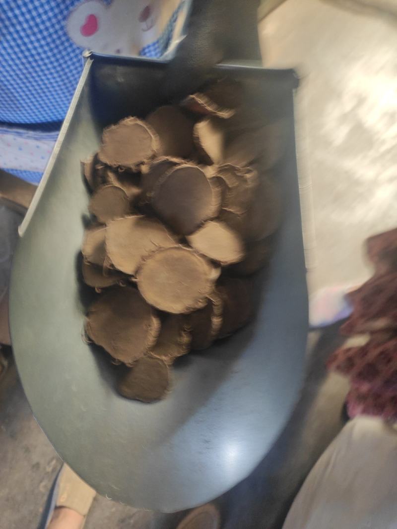莪术干净无杂质常年经营各种中药材