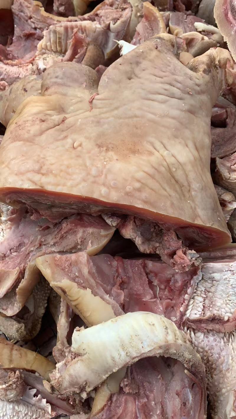 清真牛副产品牛嘴巴牛头肉牛嘴肉五香可卤制作