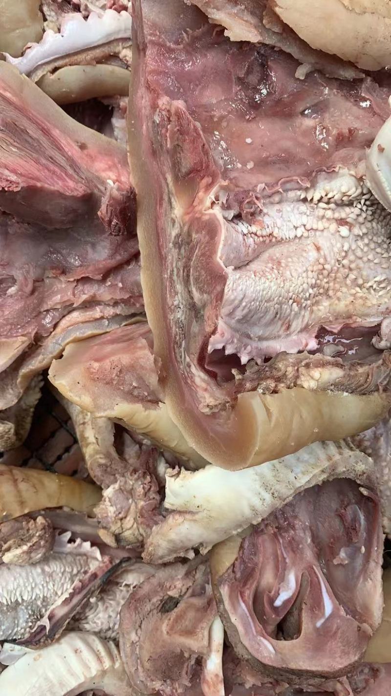 清真牛副产品牛嘴巴牛头肉牛嘴肉五香可卤制作