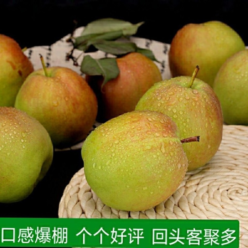 河北新梨七号，产地直销口感超甜专业梨果代办，欢迎咨询