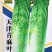 天津青麻叶大白菜种子高产抗病直筒包心春秋播绍菜青口大白菜