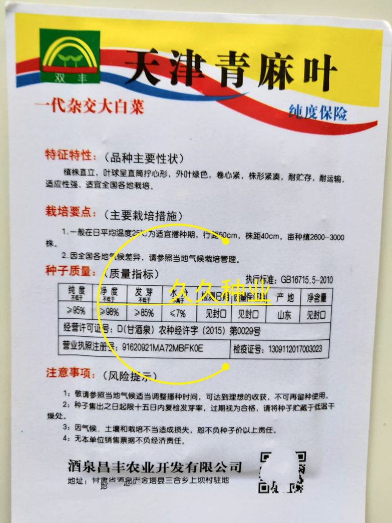 天津青麻叶大白菜种子高产抗病直筒包心春秋播绍菜青口大白菜