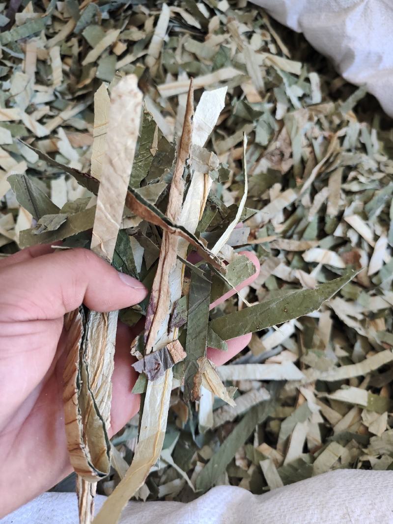 荷叶统货批发零售品种齐全量大