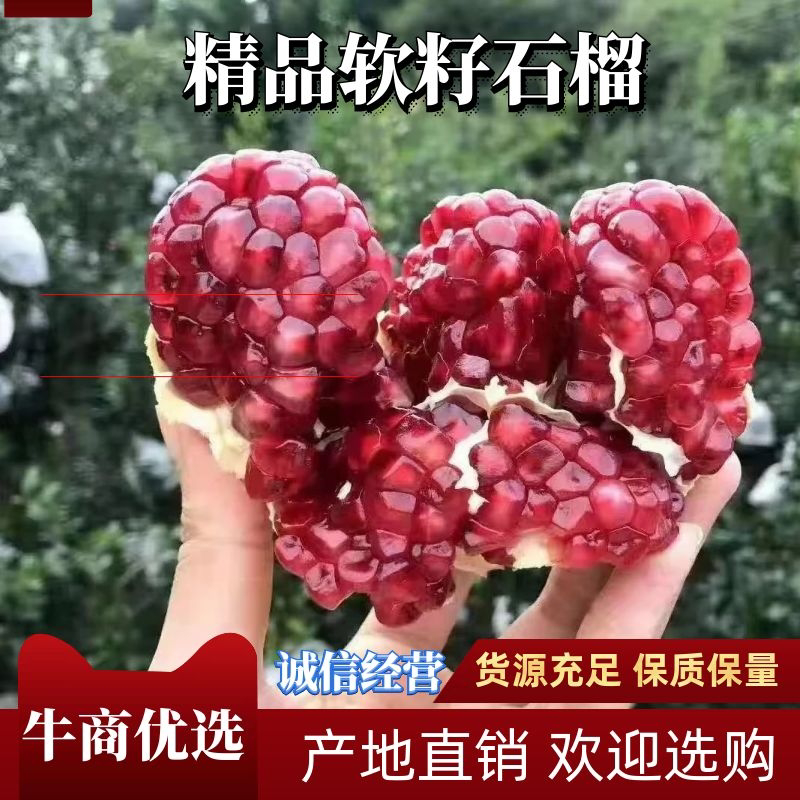 大凉山会理甜石榴突尼斯软籽石榴皮薄粒大
