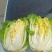 黄心白菜
