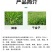 侨昌旺牛38%硝灭氰草津甘蔗田马唐千金子硝磺草酮莠灭净除