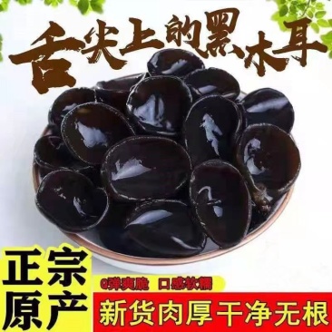 【质量保证】新货东北黑木耳电商地摊展销会专用诚信经营
