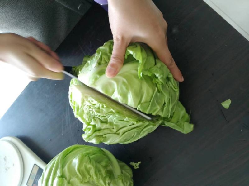 优绿旺甘蓝种子早熟芯部黄绿抗病结球紧实囗感好商品性强