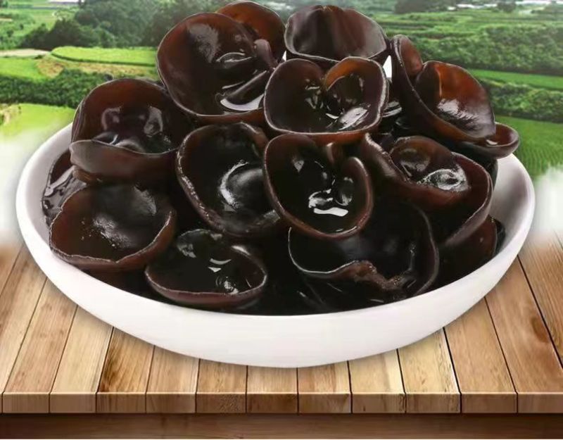 【质量保证】新货东北黑木耳电商地摊展销会专用诚信经营