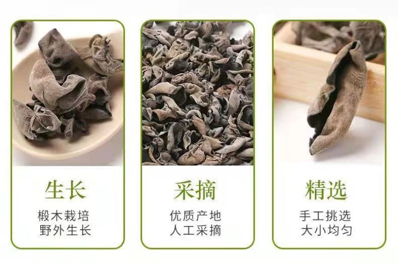 【质量保证】新货东北黑木耳电商地摊展销会专用诚信经营