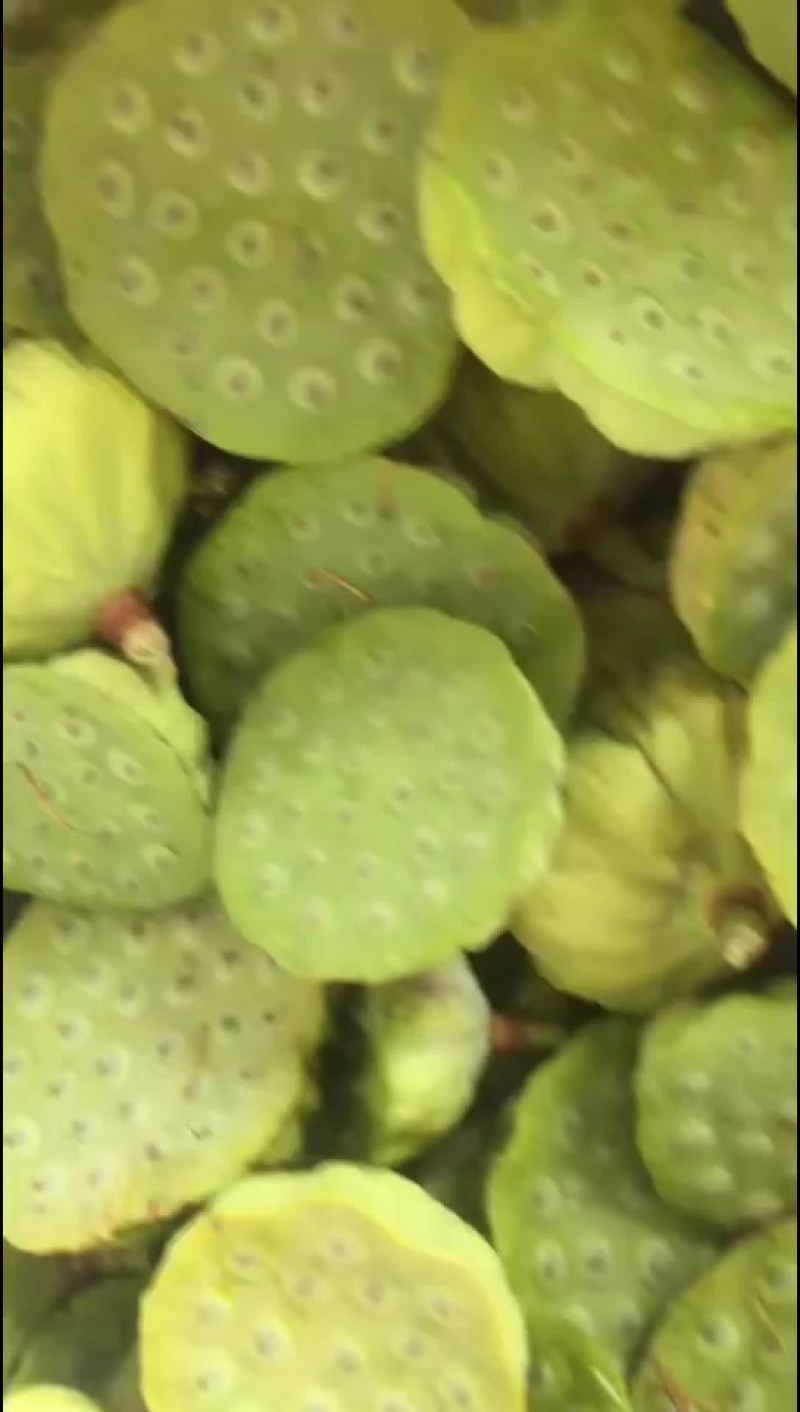 质量A级