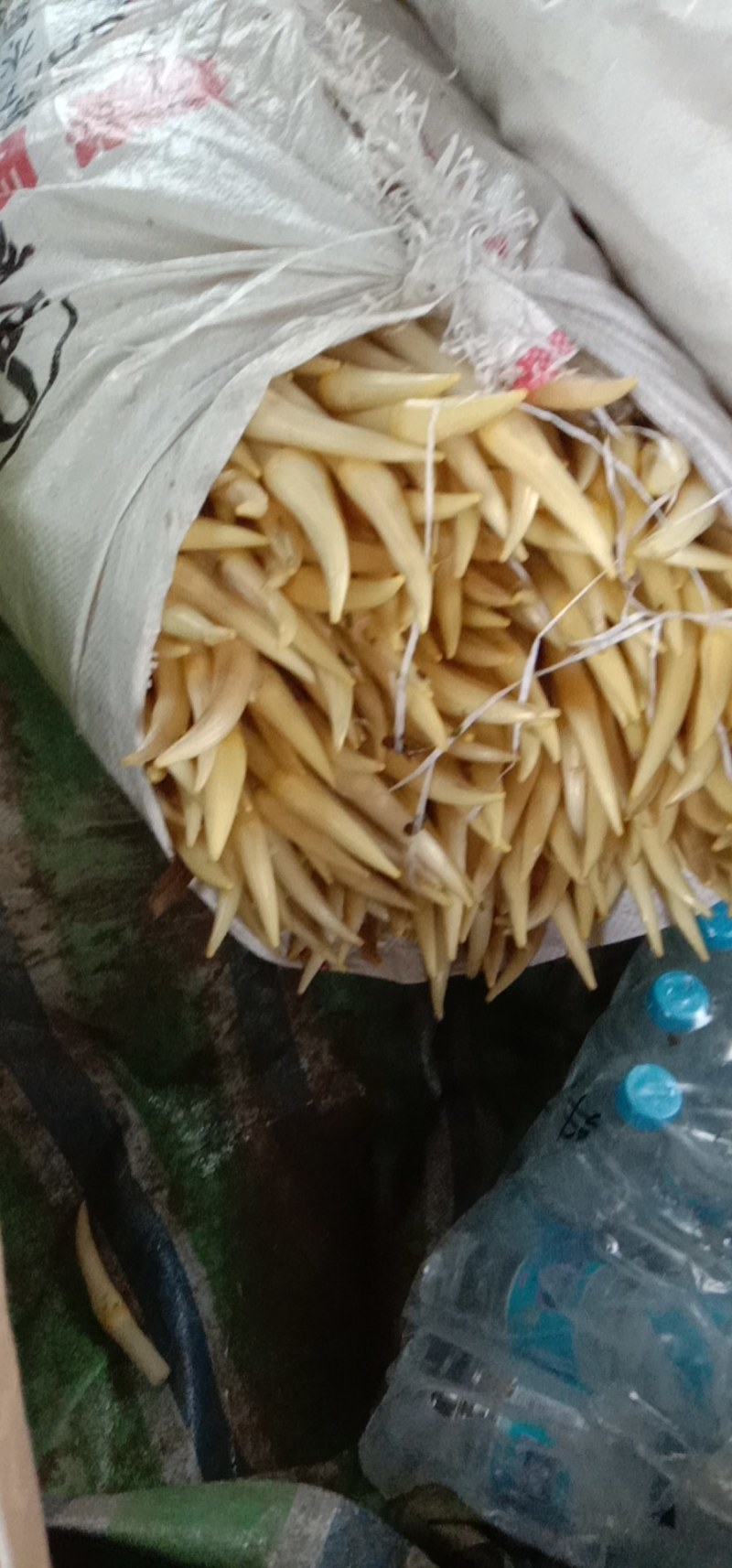 质量A级