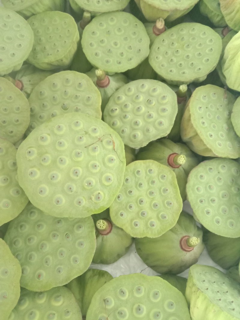 质量A级