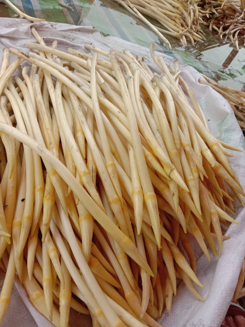质量A级