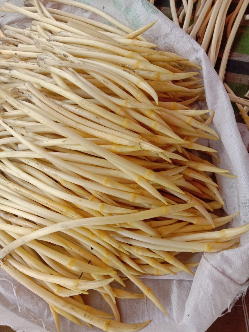 质量A级