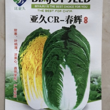CR~春辉黄心大白菜种子耐寒抗病结球紧实囗感好商品性强