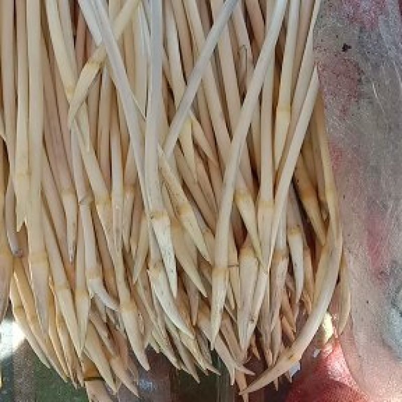 质量A级