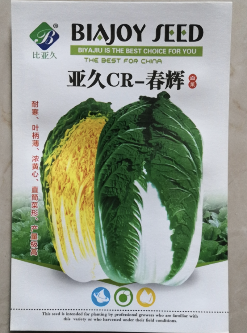 CR~春辉黄心大白菜种子耐寒抗病结球紧实囗感好商品性强