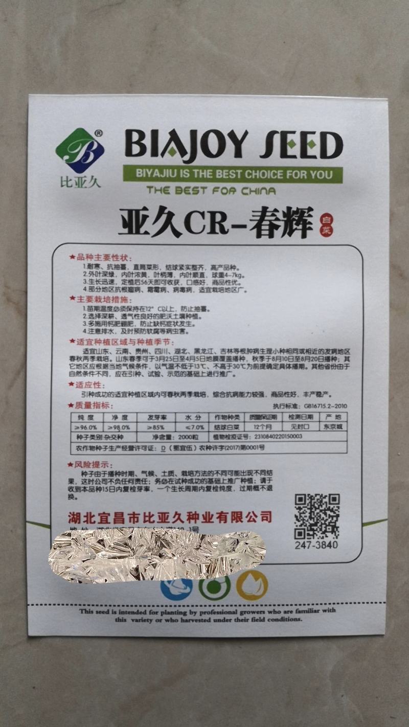 CR~春辉黄心大白菜种子耐寒抗病结球紧实囗感好商品性强