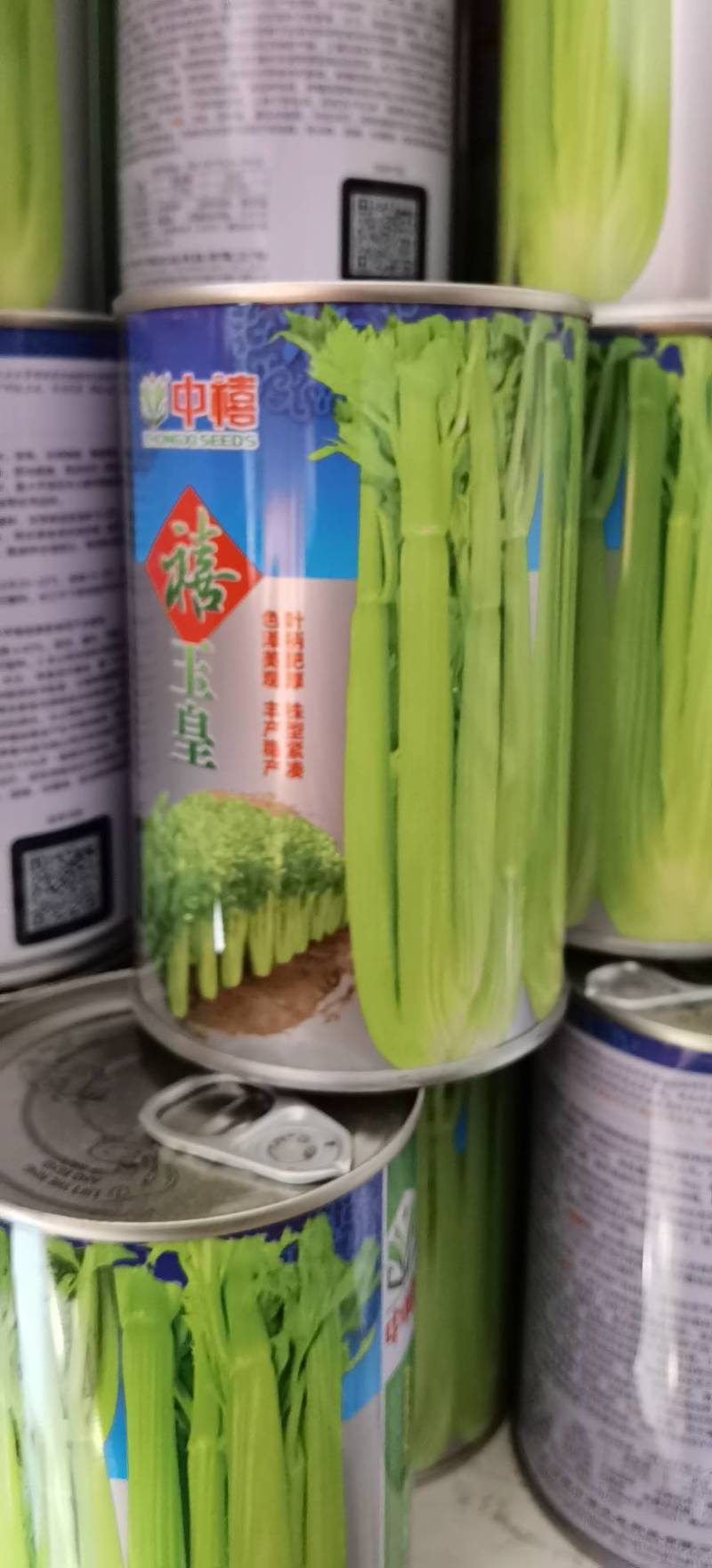 禧玉皇芹菜种子实心脆嫩抗病强生长速度快抗病高产