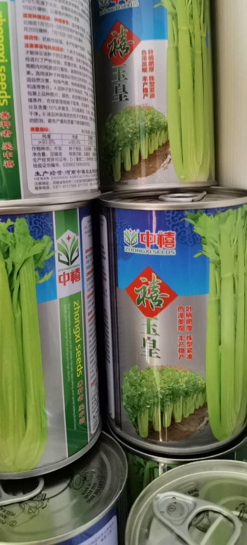 禧玉皇芹菜种子实心脆嫩抗病强生长速度快抗病高产
