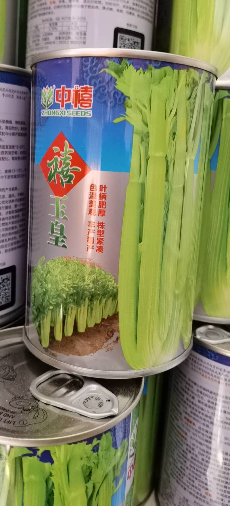 禧玉皇芹菜种子实心脆嫩抗病强生长速度快抗病高产