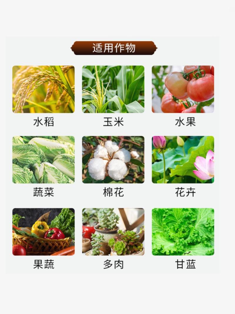 5%啶虫脒蚜虫杀虫剂蔬菜果树小麦蚜虫蓟马稻飞虱白粉虱跳甲