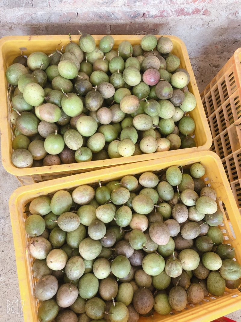 百香果
