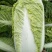 太原二青蔬菜种子大白菜直筒高筒白菜四季种植白菜青麻叶
