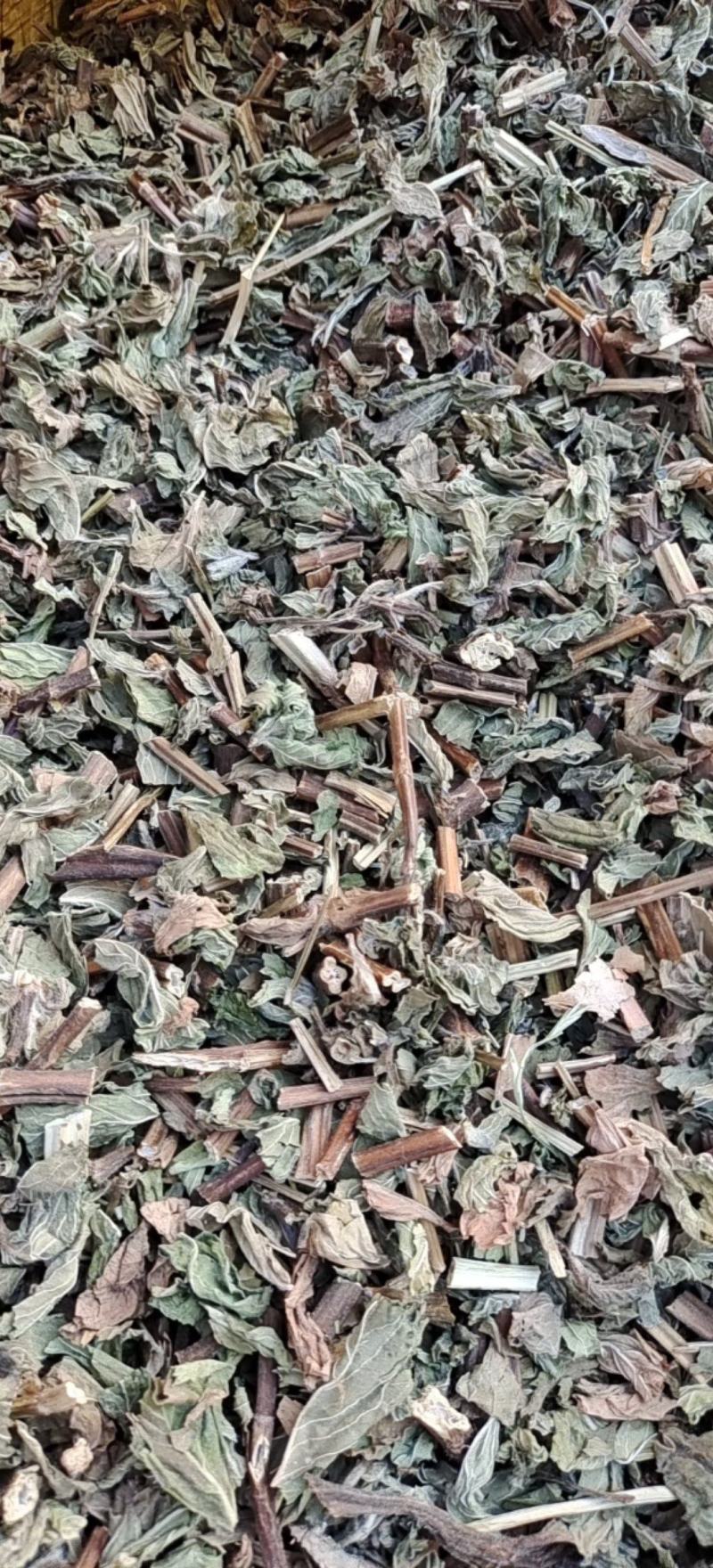 薄荷薄荷今年颜色绿地道药材产地山东省紫轩堂药业