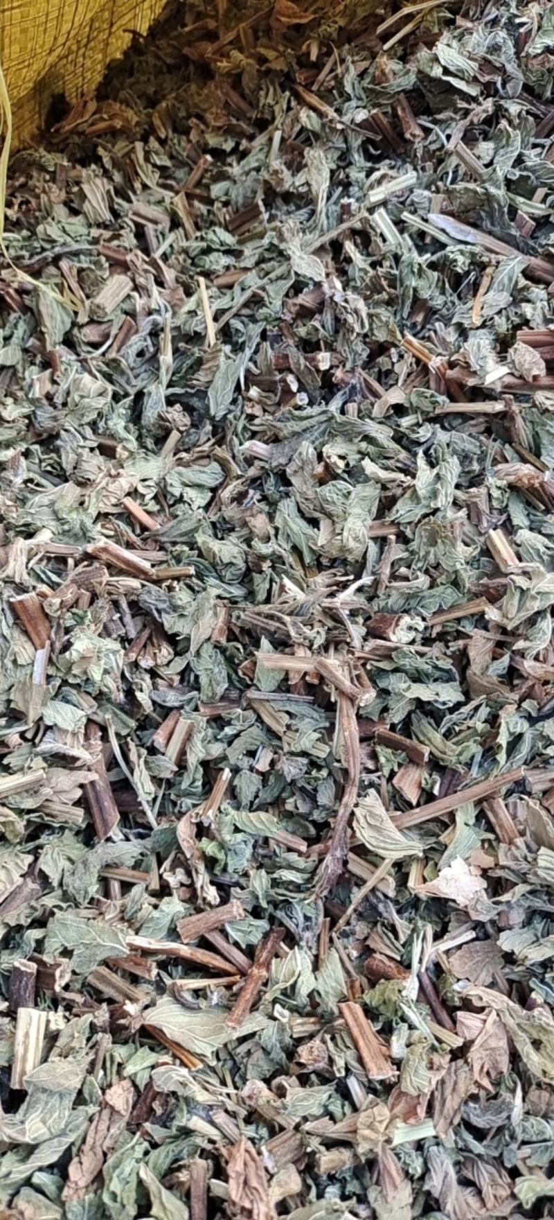 薄荷薄荷今年颜色绿地道药材产地山东省紫轩堂药业