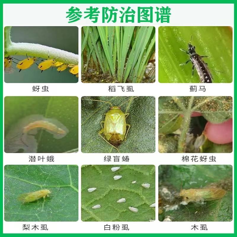 5%吡虫啉杀虫剂蔬菜果树花卉大田跳甲潜叶蛾蚜虫粉虱蓟马