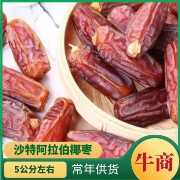 沙特阿拉伯椰枣,直供各大电商网红平台,河北总代理一手货源