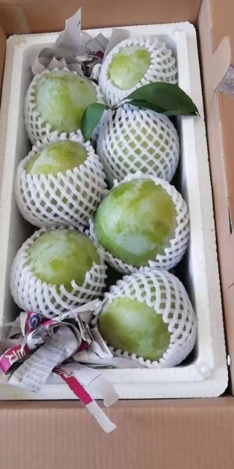 福建特产早奈，酸甜渴口