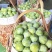 福建特产早奈，酸甜渴口