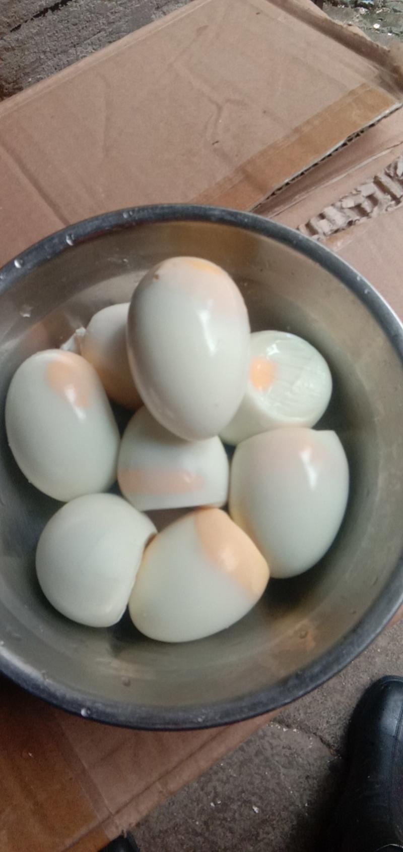 烧烤实蛋毛蛋喜蛋凤胚蛋白蛋